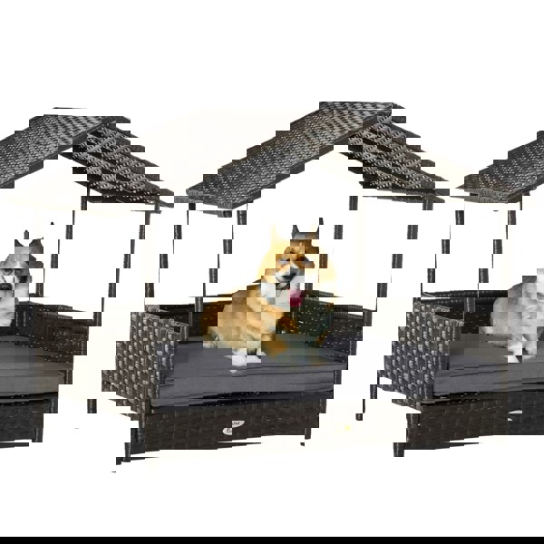 D02-029V70GY