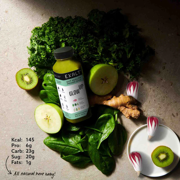 EXALT Plant-based 10 Protein Smoothies - Trial Box