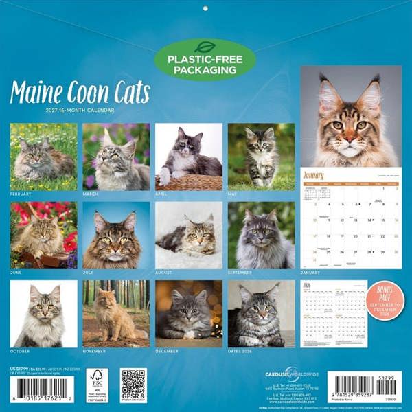 Maine Coon Cats Calendar 2027, Wall Calendars, Month To View, Cats, Gift