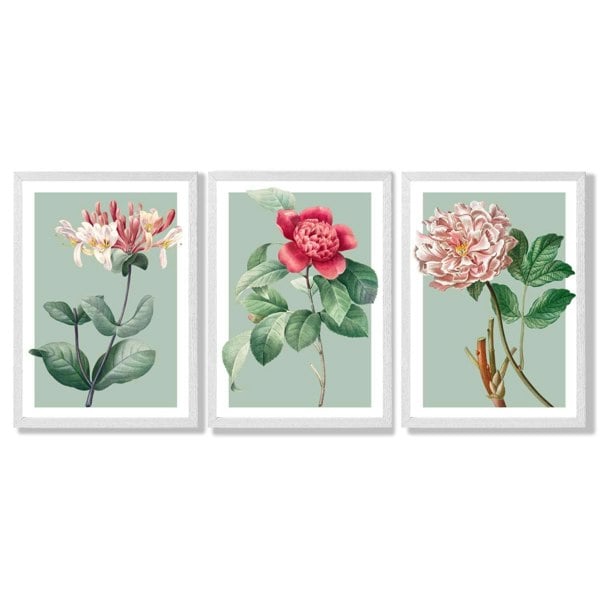 Artze Wall Art Vintage Flowers Honeysuckle, Peony Set of 3 Framed Prints