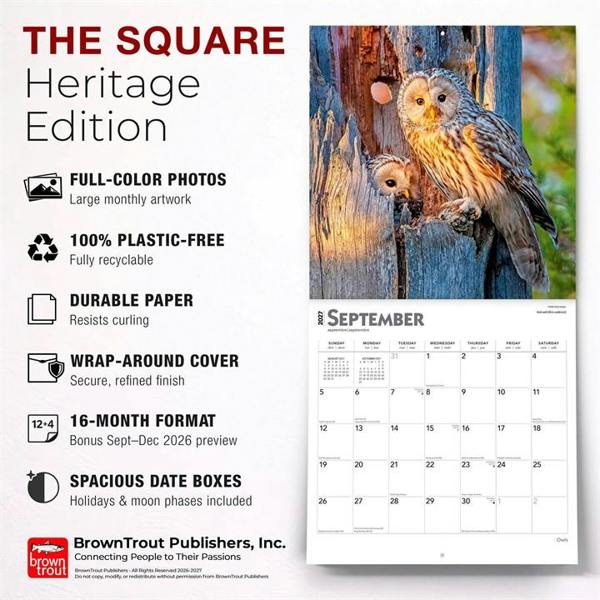 Owls Calendar 2027, Wall Calendars, Month To View, Animals, Gift