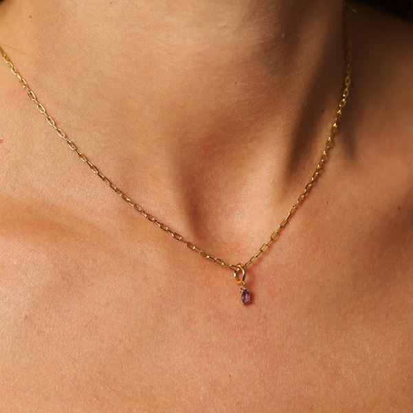 Gold Trip February Birthstone Necklace