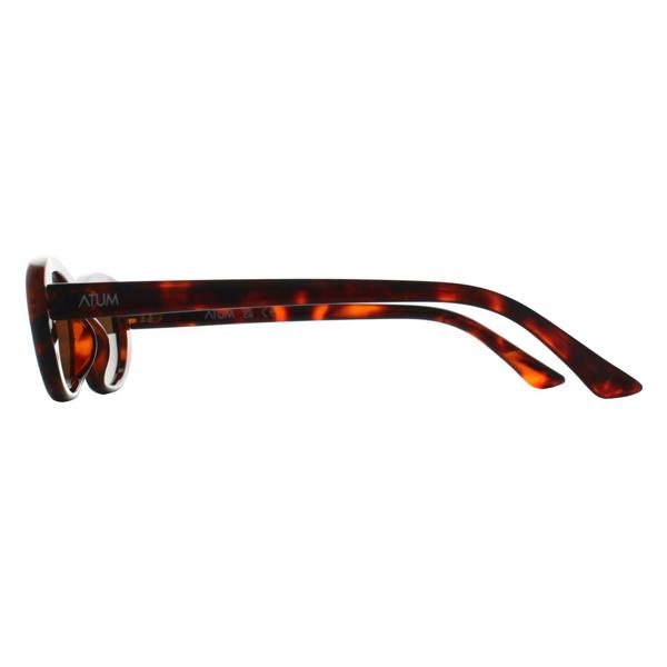 Atum Oval Womens Brown Tortoise Gold Brown Noctis Sunglasses