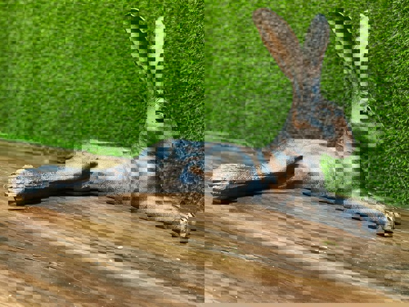 Inspirational Gifting Laying Hare Garden Sculpture Ornament Decor