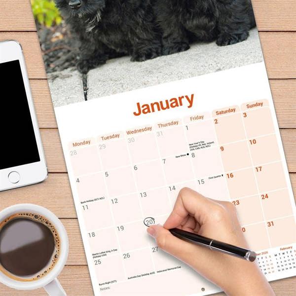 Scottish Terrier Calendar 2027, Wall Calendars, Month To View, Dogs, Gift