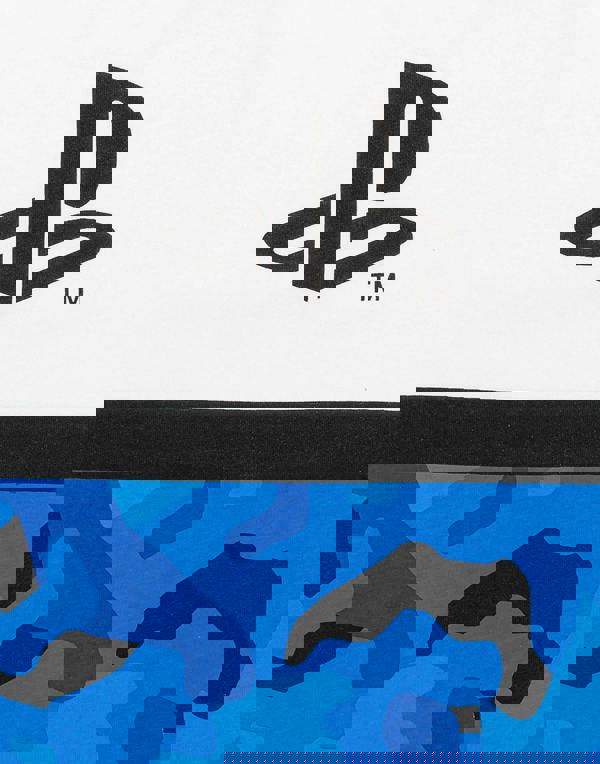 PlayStation Boys White Logo & Camo Print Short Sleeved T-Shirt