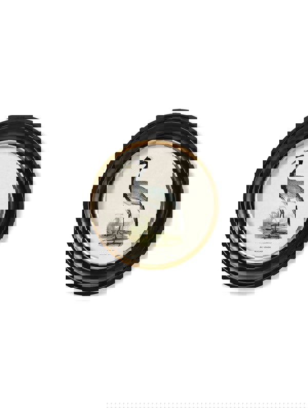 Exceptional Art c.1870 Wading Birds in Round Frames