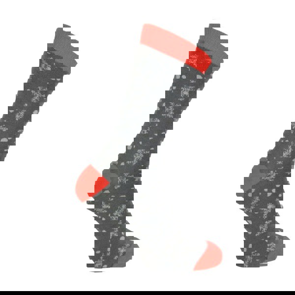 t4option1_1