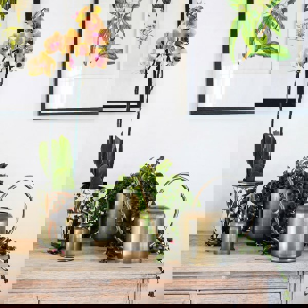 #color_brass
