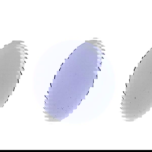 Philip Kingsley Pure Blonde/Silver Shampoo Conditioner Duo