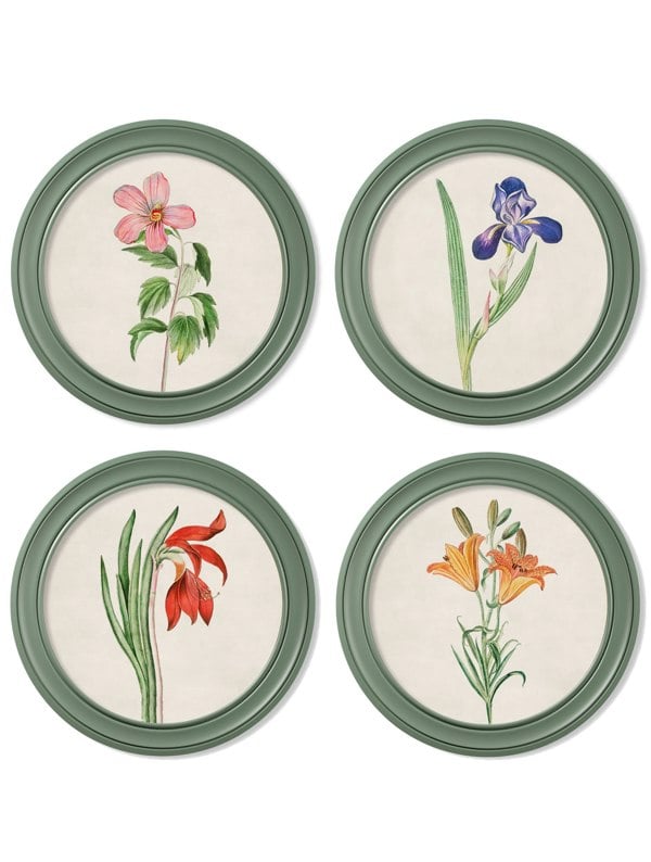 Exceptional Art c.1780 Flowering Plants Round Frame Green