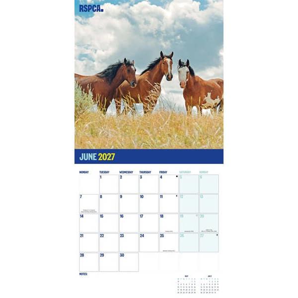 RSPCA, British Horses & Ponies Calendar 2027, Wall Calendars, Month To View, Animals, Gift