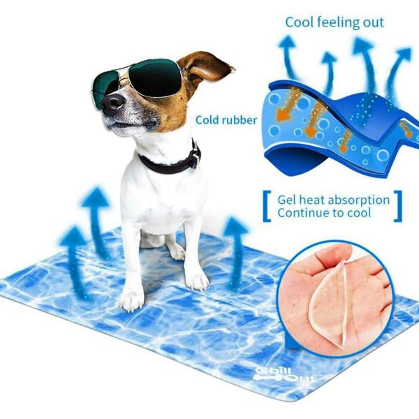 All For Paws Chill Out Always Cool Dog Mat – Medium