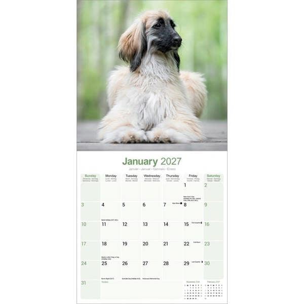 Afghan Calendar 2027, Wall Calendars, Month To View, Dogs, Gift