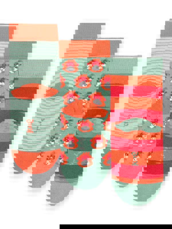 Kite Boys Organic Orangutan Socks