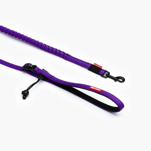 EzyDog Road Runner Dog Lead in Purple