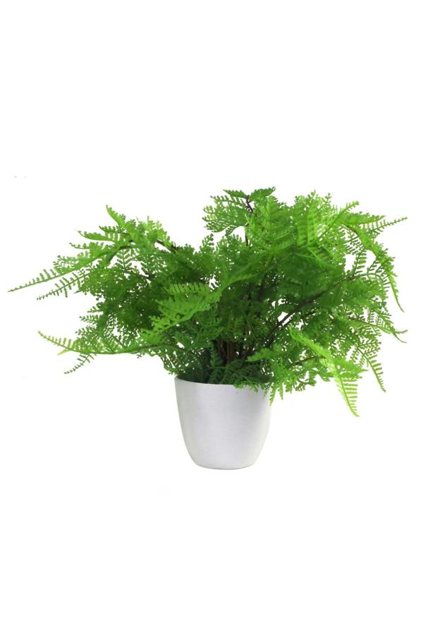 Dyzi Artificial Lady Fern Plant In White Pot 30cm