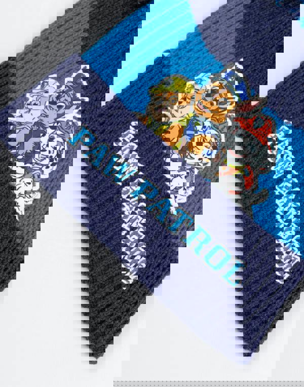 Paw Patrol Boys Blue Team Pose Beanie and Gloves Set (One Size)