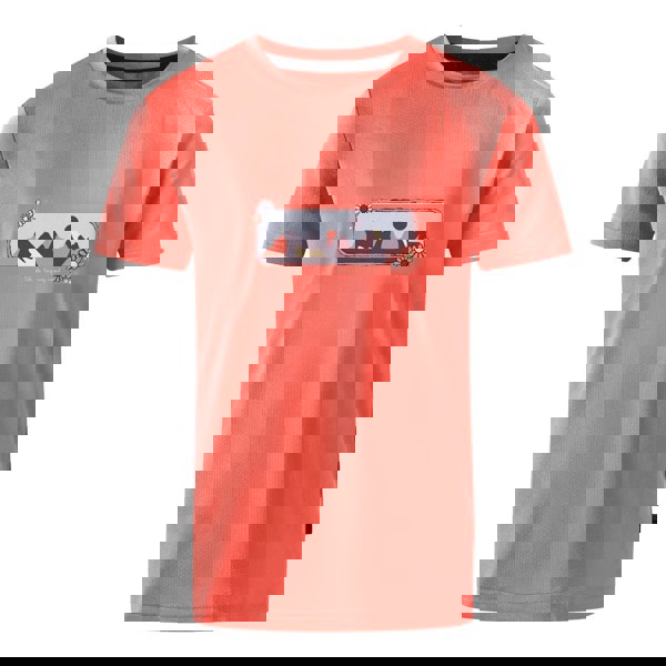 Dare 2B Childrens/Kids Amuse II Mountain T-Shirt - Peach Bloom