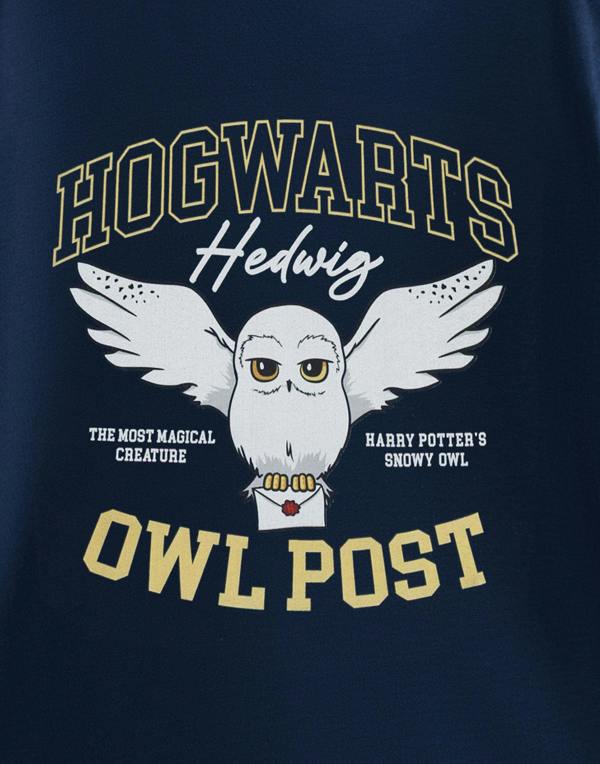 Vanilla Underground Harry Potter Girls Blue Owl Post Short Sleeved T-Shirt