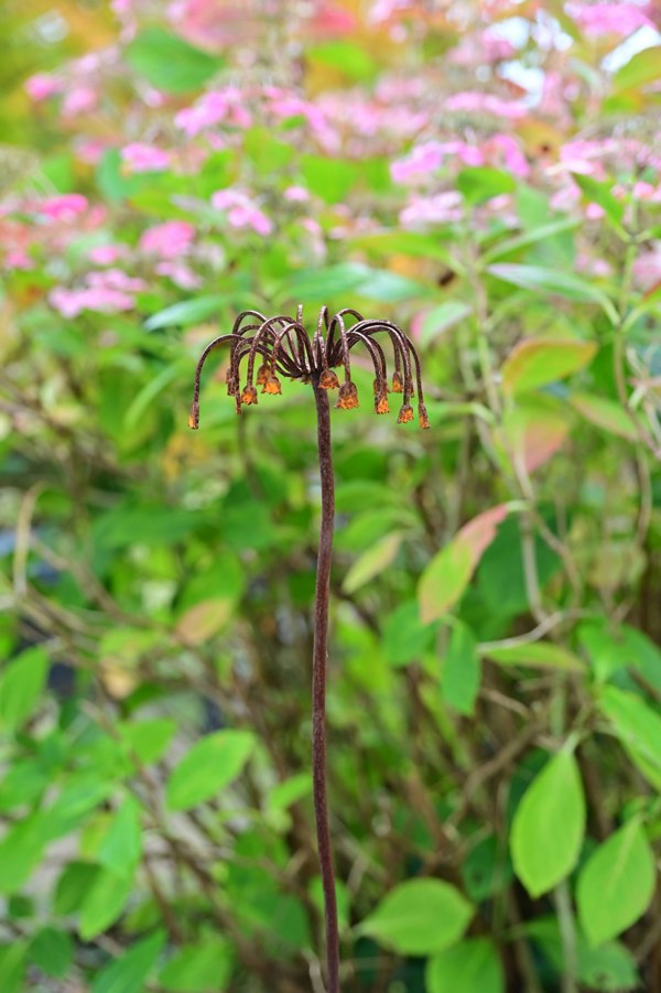 rusty metal flower garden ornament stake