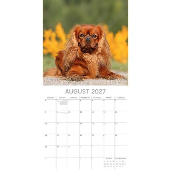 Cavalier King Charles Spaniels Calendar 2027, Wall Calendars, Month To View, Dogs, Gift