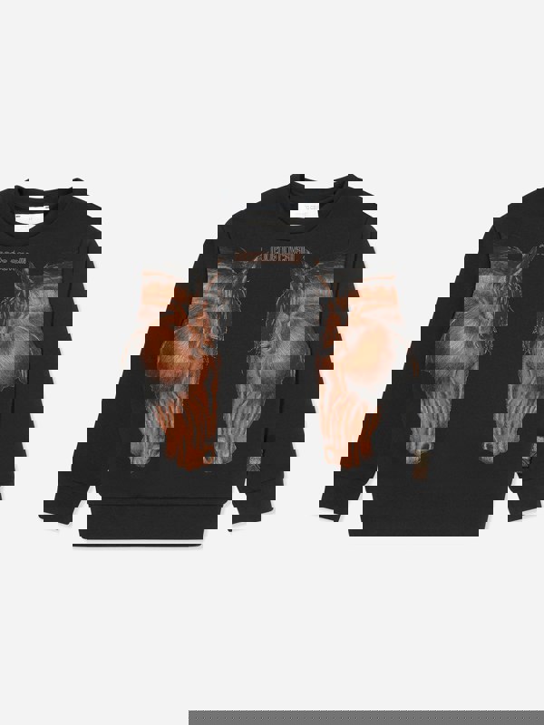 Roberto Cavalli Boys Horses Sweatshirt in Black