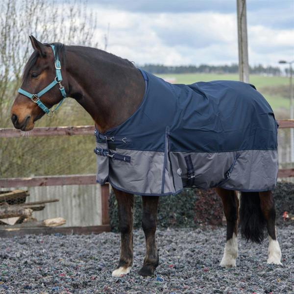 eQuitack 600D Outdoor Winter Lightweight Waterproof Horse Turnout Rug 0g No Fill Regular Neck Nylon Lined Double Buckle Navy/Grey