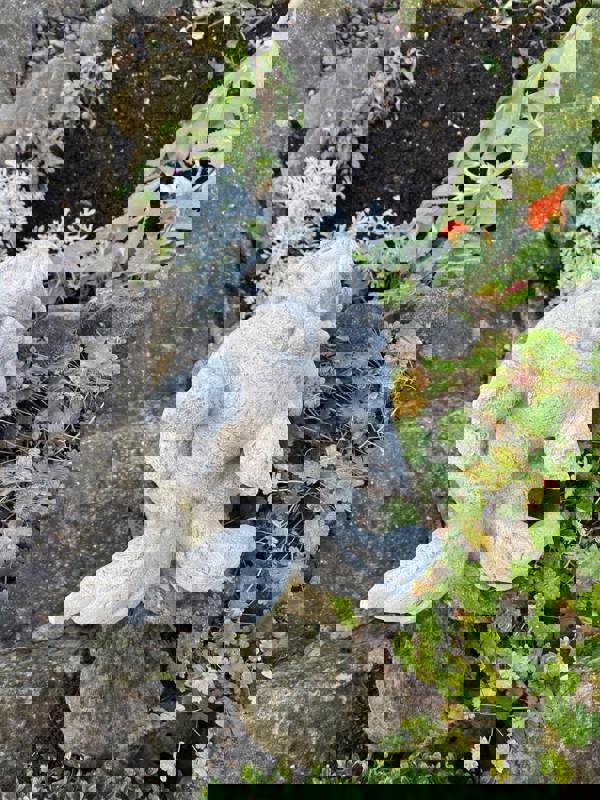 Sad Dragon Mythical Garden Ornament