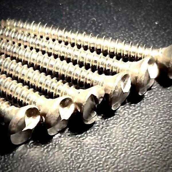 Fixaball No. 8 x 1.1/2" Clutch Security Self Tapping Screw A2/304 Stainless