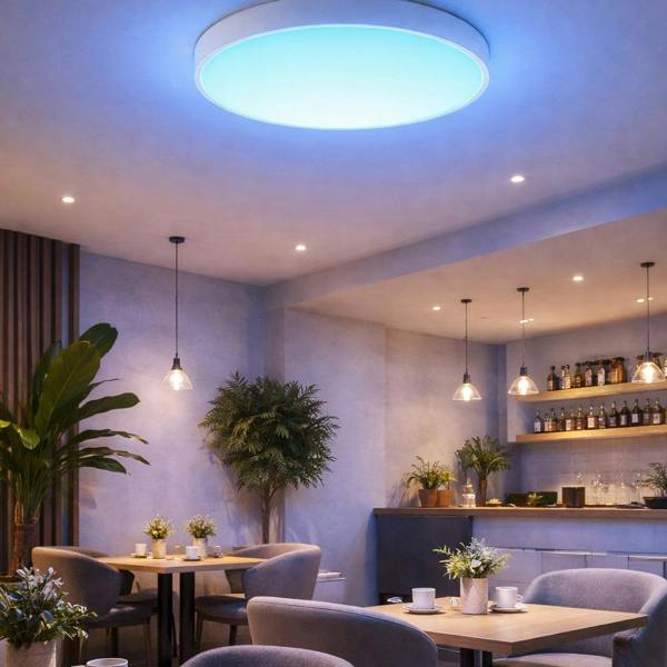 ENER-J 40W Scenic Surface LED Ceiling Light with multiple built-in modes, CCT+RGBIC, Round, Size: 380mm