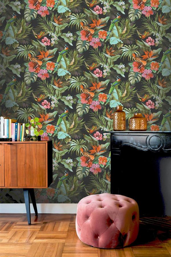 Paradise Birds Black Wallpaper 539059 - Rs image 5