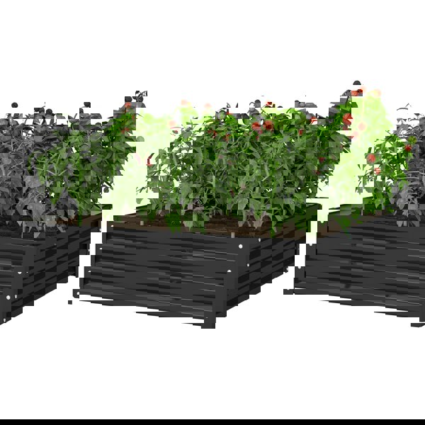 Garden Bed