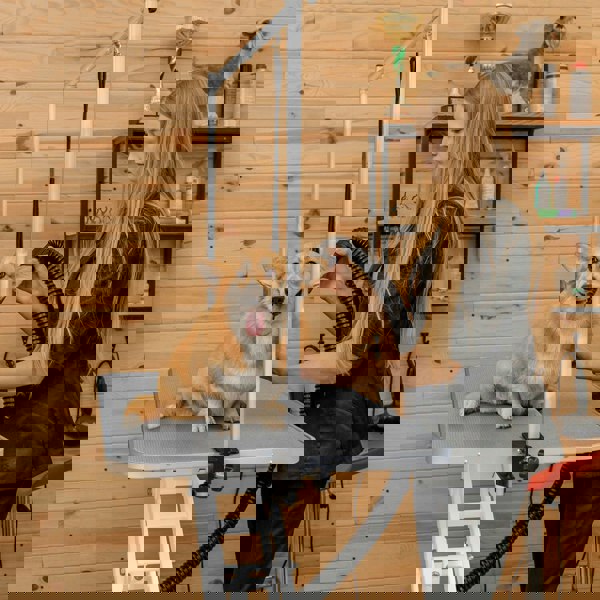 Monstershop White Hydraulic Grooming Table - Grey Table Top