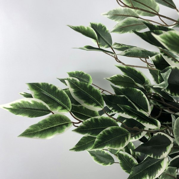 Leaf 130cm Tall Variegated White/Green Bushy Ficus Tree