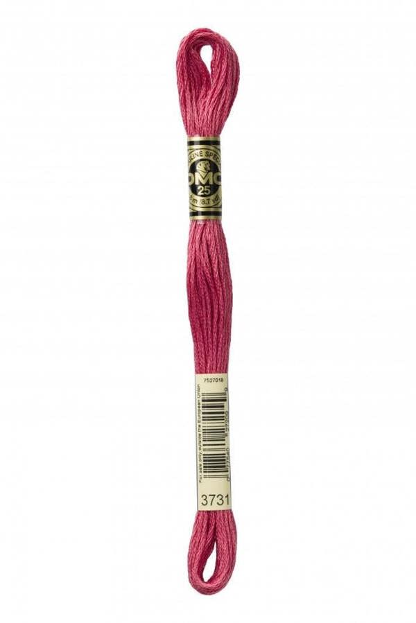 3731 | Pink