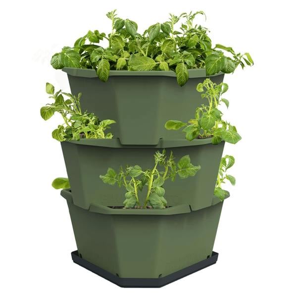 PAUL POTATO potato growing tower - Dark Green