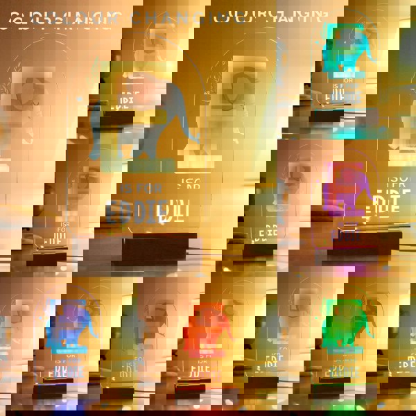 Personalised Memento Company Personalised Animal Alphabet Wooden Based LED Light