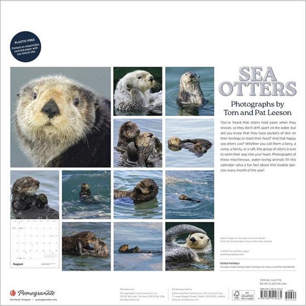 Unbranded Sea Otters Calendar 2027, Wall Calendars, Month To View, Animals, Gift