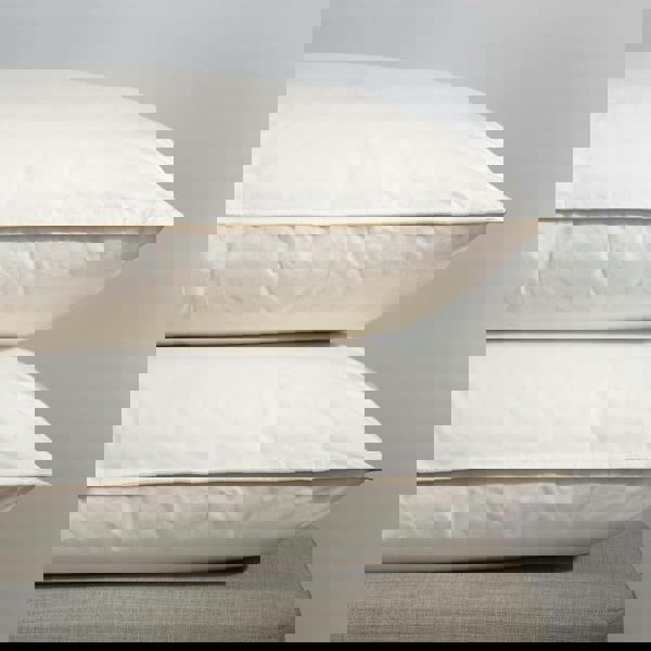 Soak&Sleep Hungarian Goose Down Pillows