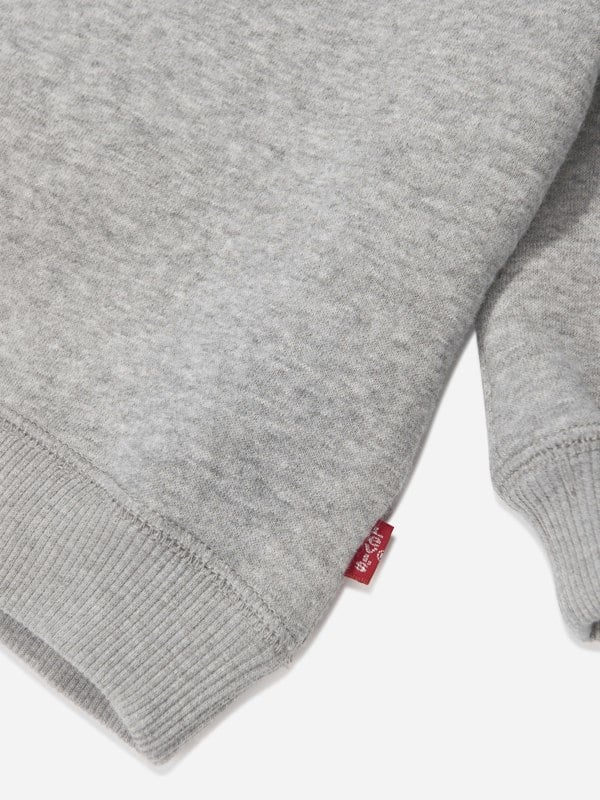 Levi's Kids Wear Levi's Baby Boys Batwing Crewneck Sweatshirt in Grey