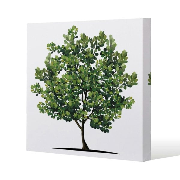 Benjamin Tate Design Tree Slim Style Canvas Print  30x30cm , 15mm Slim Real wood.