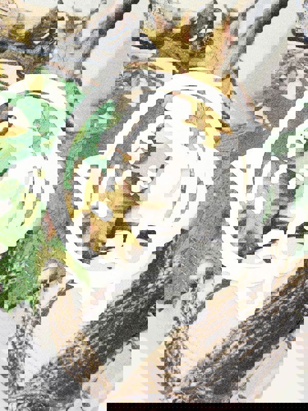 BBCA5011_MULTICOLOURED_3