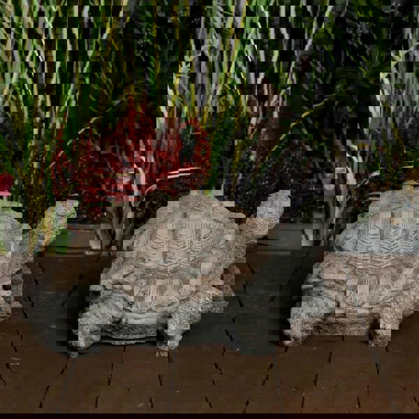 Medium Stone Cast Tortoise Garden Ornament 