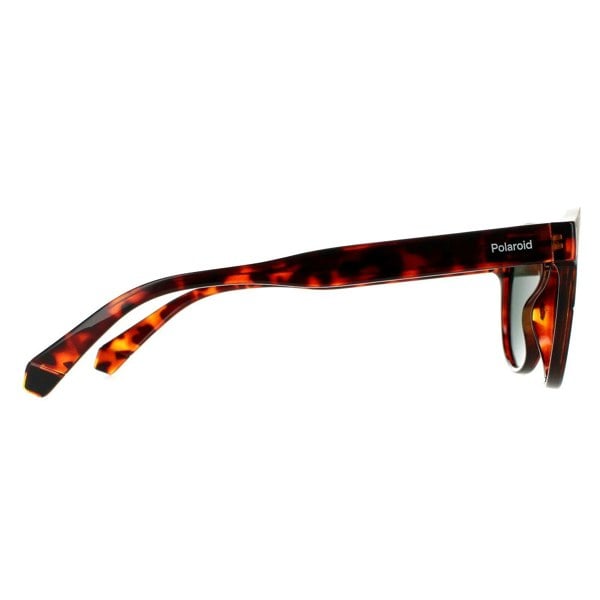 Polaroid Sunglasses PLD 6175/S 086 UC Dark Havana Green Polarized