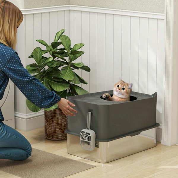 Cat Litter Box