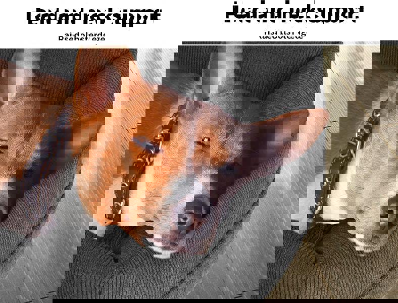 Skylos Pet Car Booster Seat Dog Protector Portable Bed Removable Dark Grey M