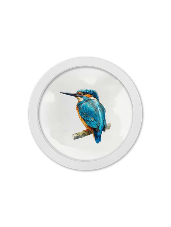 Exceptional Art Watercolour Kingfishers - 30cm White Round Box Frame