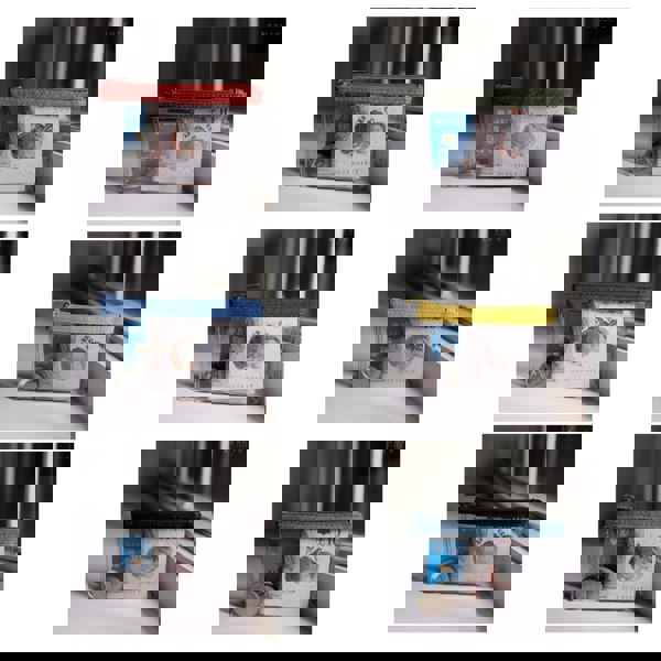 Assots London 'DINAH' Transparent Zip Top Red Coin Purse