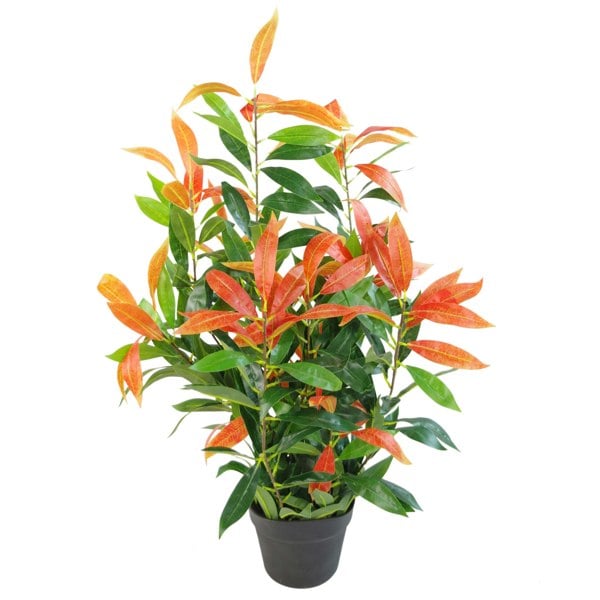 Leaf 80cm Artificial Red and Green Ficus Plant